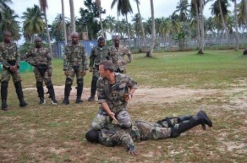 Article : La France envoie 235 militaires ivoiriens au Mali…
