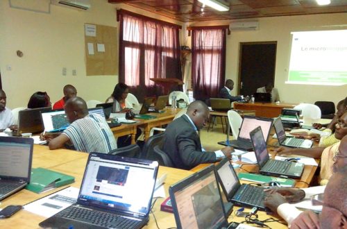 Article : Côte d’Ivoire, le web au secours de l’agriculture